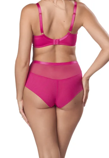 Figi Wysokie Z Koronkowymi Wstawkami Agnese